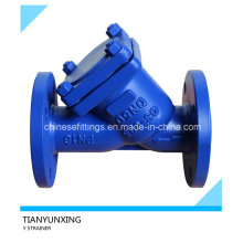 Dn50 DIN Cast Steel Flanged Y Strainer with Epoxy Coating